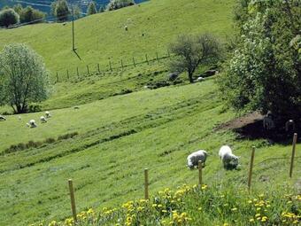 Irenegarden - Panorama Apartment