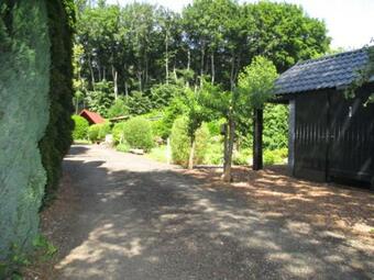 Knusse Blokhut Aan De Rand Van Het Bos
