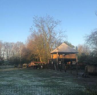 Schaap8 Bed En Breakfast