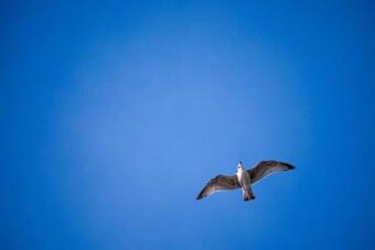 Apartamento 139 Ferienhaus Am Wattenmeer