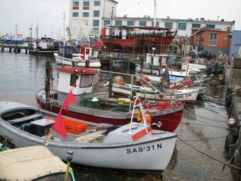 Apartamento Ferienwohnung 1 Bei Familie Saupe