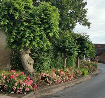 Apartamento Reetferienhaus