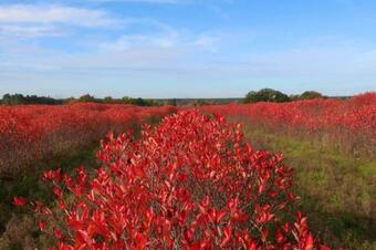 Bauernhaus Mit Salon In Steinreich