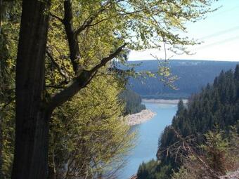 Ferienhaus Linde Am Ble�berg