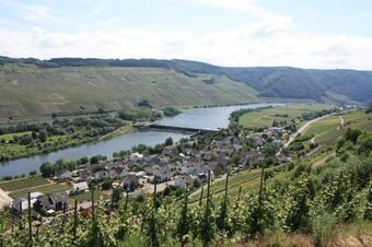 Apartamento Moseltraum Alte Schmiede