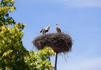 Hostal Spreewaldpension Andreas Kr�ger