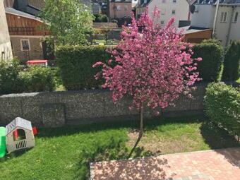 Apartamentos Ferienwohnung Am Markt