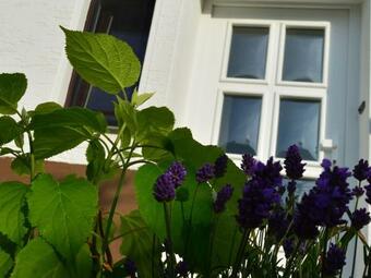 Apartamento Ferienwohnung Dorlar