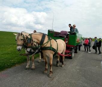 Apartamentos 5-sterne Ferienwohnung-treeneblick