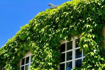 Apartment G�stehaus Schloss Bothmer