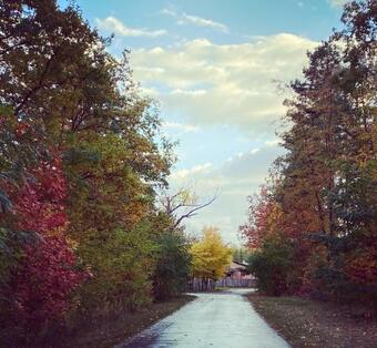 Apartamento Ferienhaus Victoria