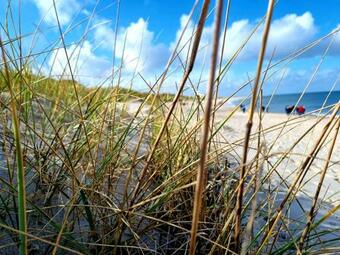 Apartamento Ferienwohnung Selent Familie Sikora