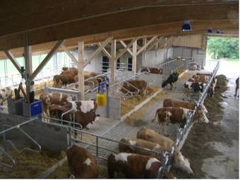 Agroturismo Kuscherhof