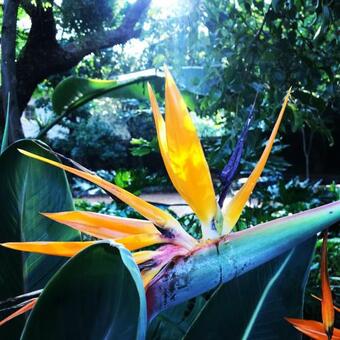 Apartamento Greenwoods Self-catering