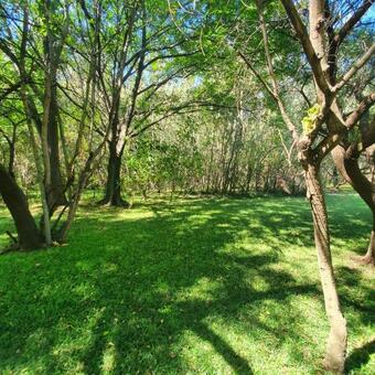 Apartamento Cozy Wood Cabin