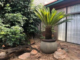 Hostal Spicata@wapadrand