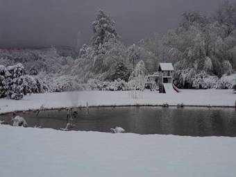 Grandhotel Nieder�sterreichischer Hof