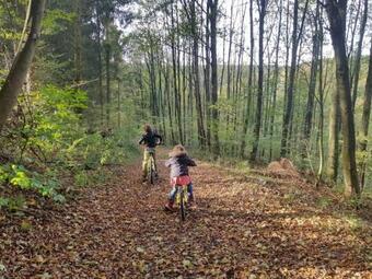 Sonnenschein Am Rursee