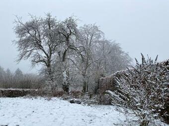 Apartamento Belka Am Rursee