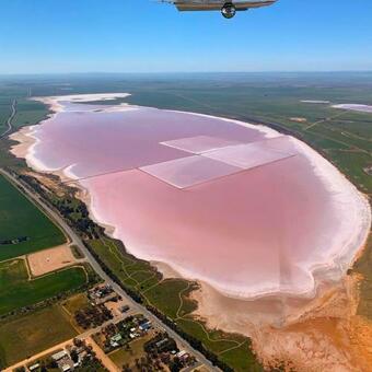The Pink Lake Tiny House - 'sakura'