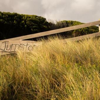 Villa Turnstone Beach House