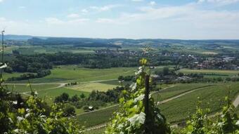 Hostal Wein- Appartements Borth