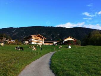 Apartamento Ferienwohnung Geigerhof