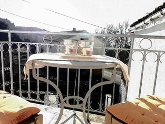 Elm Tree Dream Catcher