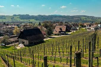 Bubble-suite Auf Historischem Weingut / See In Der N�he