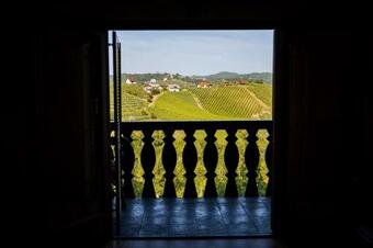 Vineyard Cottage Nemani?