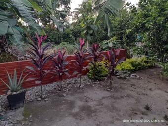 Apartamento Hostal El Puerto