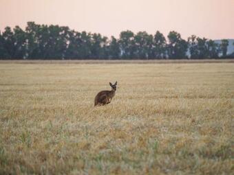 Hostal The Glass House