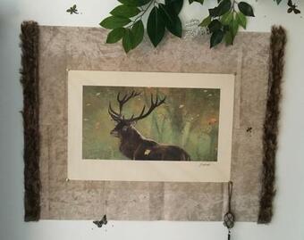 Gites "aux Legendes D Ardenne"