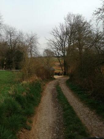 La Cabane Insolite De Belle Vue