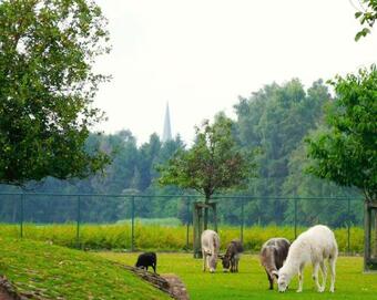 Apartamento Vakantieverblijf-beestenboel