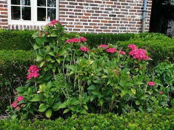 Bed & Breakfast R�veries