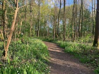 Bramse Hoeve Rotselaar