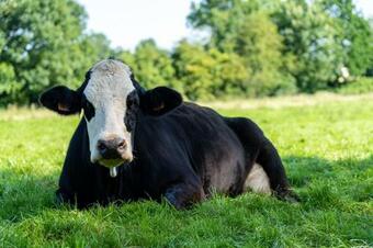 Apartamento Wellness Suite