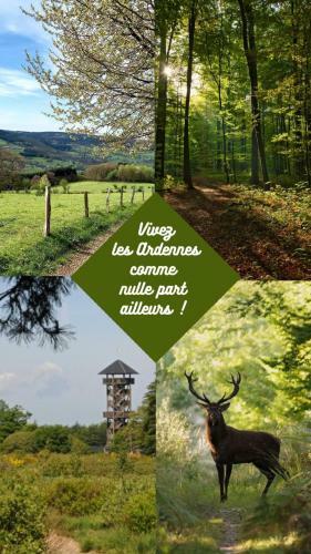 B&B Nid Douillet - Spa Francorchamps