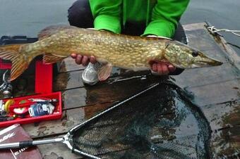 Bungalow Am Gro� Labenzer See Klein Labenz - Dms01035-b