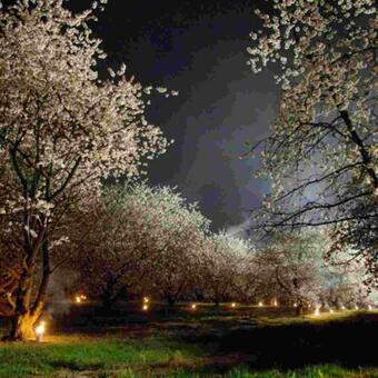 Bed & Breakfast Liry's Home