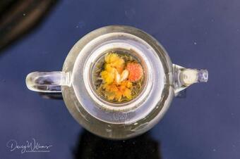 Biohoeve 't Bezige Bieke Met Priv� Wellness