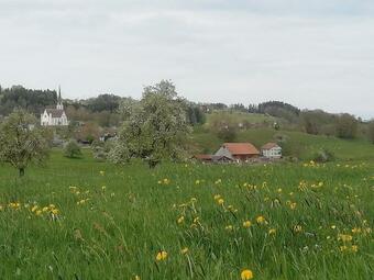 Apartamento Billenberghof