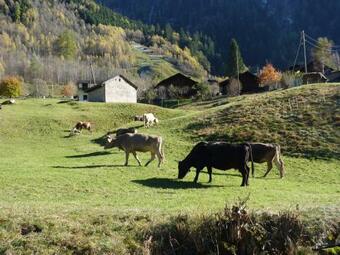 Ristobar B&B Al Pont