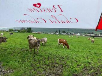 Hostal Pension Chalet Charme