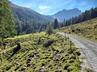 Apartamento Kleine Romantische Wohnung Im Ruhigen Albulatal