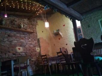 D?m S ?ajovnou A Kav�rnou (podkrov�)