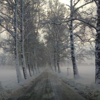 Hostal Penzion Pod ?e?inkem