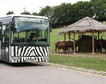 Rekrea?n� D?m U Sk?�tk?