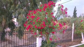 Apartamento Beautiful Home